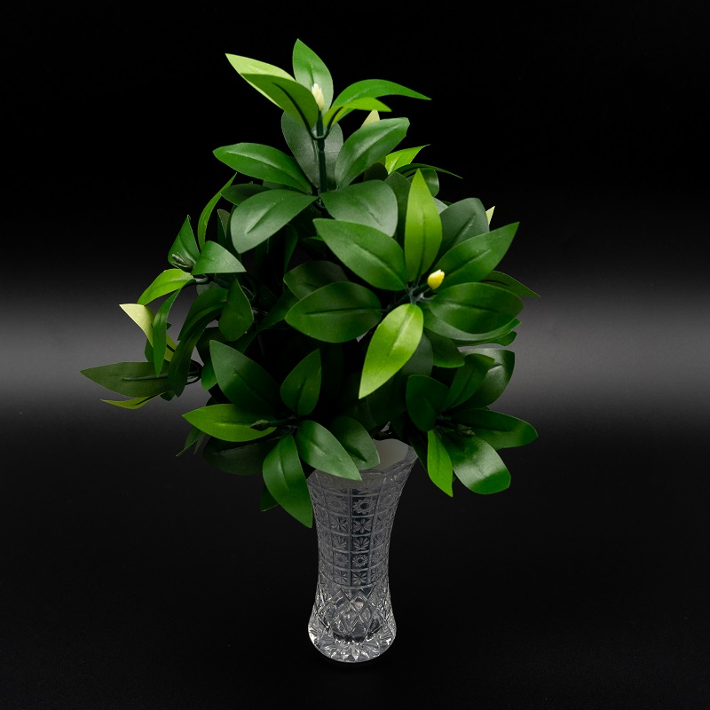 ON_ink　ボヘミアクリスタル 楽天市場】【ロックグラス】ボヘミアクリスタル グレース オールド